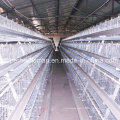 Système de Cage de poulet d’équipements de ferme avicole